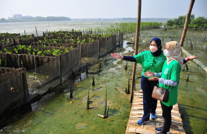 
 CKB Grup meninjau lokasi program CSR di Jawa Timur. (Foto: Istimewa)