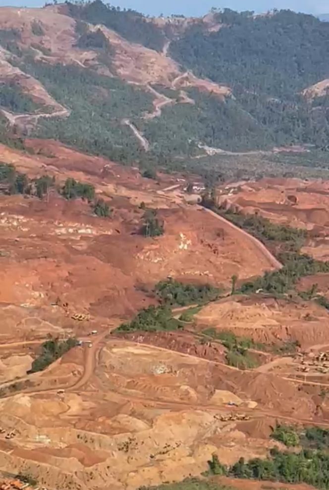 
 Kondisi kerusakan hutan di Blok Mandiodo Kabupaten  Konawe Utara. (Foto: Istimewa)