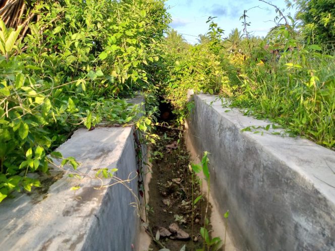 
 Saluran irigasi hasil pekerjaan Perkumpulan Petani Pemakai Air (PPPA) di Desa Labulubulu Kecamatan Parigi yang tidak berfungsi. Foto: Istimewa 