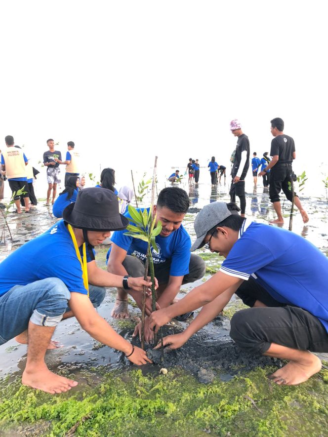 
 Mahasiswa KKN Tematik UHO melakukan penanaman mangrove di pesisir Desa Tapulaga, Kecamatan Soropia, Kabupaten Konawe. Foto: Istimewa