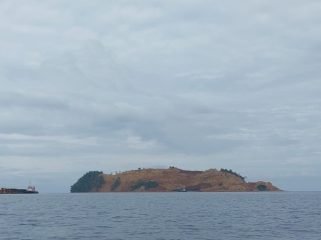 Pulau Laburoko yang nampak gundul diduga akibat aktivitas pertambangan ilegal. Foto: Dokumen penafaktual.com