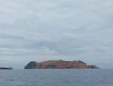 Pulau Laburoko yang nampak gundul diduga akibat aktivitas pertambangan ilegal. Foto: Dokumen penafaktual.com