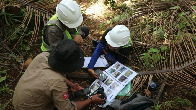 
 Penelitian Biodiversitas di Pulau Wawonii. Foto: Ostim 