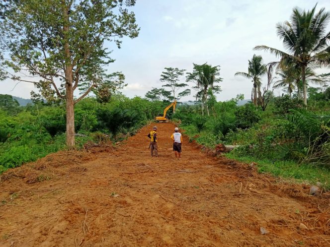 
 Kadin Konawe membangun Jalan Usaha Tani di di Desa Andomesinggo, Kecamatan Besulutu. Foto: Istimewa 
