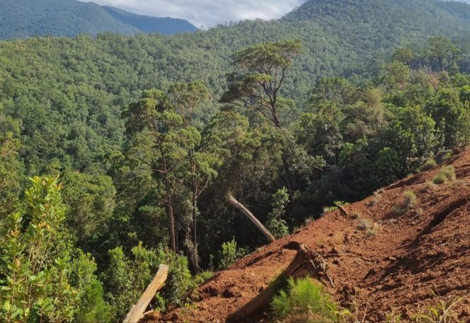 
 Salah satu lokasi lahan warga di Blok Tekonindo Desa Pongkalaero, Kecamatan Kabaena Selatan Kabupaten Bombana yang diduga dirampas dan dijual ke PT Tri Daya Jaya. Foto: Istimewa