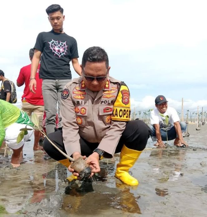 
 Kapolres Kolaka Utara, AKBP Arief Irawan melakukan penanaman pohon mangrove di pesisir Pantai Desa Kamisi. Foto: Istimewa