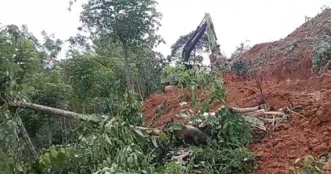 
 Lahan warga Desa Rakawuta, Kecamatan Mowila, Kabupaten Konawe Selatan (Konsel) diduga diserobot oleh PT Merbau Jaya Indah Raya. Foto: Istimewa  