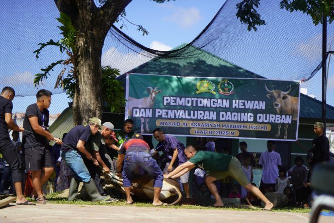 
 Penyembelihan hewan kurban dalam rangka perayaan Idul Adha 1446 Hijriah tahun 2025 di Korem 143/HO bersama masyarakat sekitar. Foto: Istimewa