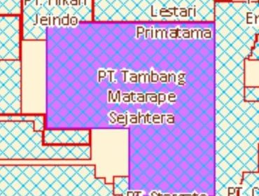 Lokasi pertambangan PT Tambang Matarape Sejahtera. Foto: Istimewa