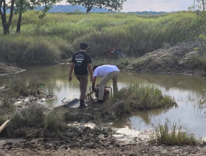 Polres Bombana mengamankan 12 mesin alcon yang diduga digunakan untuk aktivitas penambangan emas ilegal. Foto: Istimewa