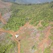 Lokasi dugaan aktivitas ilegal logging masih marak terjadi di kawasan hutan produksi dan hutan lindung Desa Patikala, Kecamatan Tolala. Foto: Istimewa
