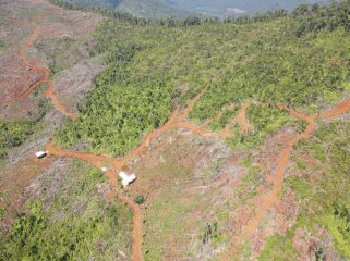 Lokasi dugaan aktivitas ilegal logging masih marak terjadi di kawasan hutan produksi dan hutan lindung Desa Patikala, Kecamatan Tolala. Foto: Istimewa
