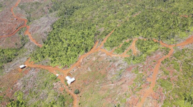 Lokasi dugaan aktivitas ilegal logging masih marak terjadi di kawasan hutan produksi dan hutan lindung Desa Patikala, Kecamatan Tolala. Foto: Istimewa
