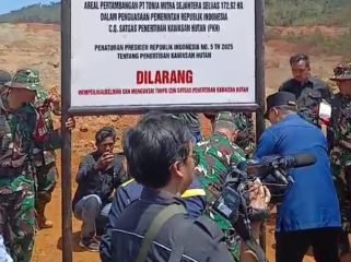 Satgas PKH menyegel kawasan konsesi pertambangan nikel PT Tonia Mitra Sejahtera (TMS) di Kabaena, Kabupaten Bombana. Foto: Istimewa