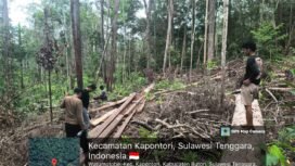Polres Buton dan Polisi Kehutanan KPH Sulawesi Tenggara melakukan peninjauan lokasi dugaan ilegal logging di Kecamatan Kapontori. Foto: Istimewa