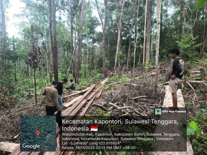 
 Polres Buton dan Polisi Kehutanan KPH Sulawesi Tenggara melakukan peninjauan lokasi dugaan ilegal logging di Kecamatan Kapontori. Foto: Istimewa
