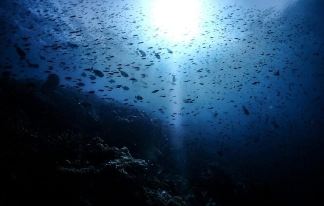 
 Photo by Benjamin L. Jones on Unsplash