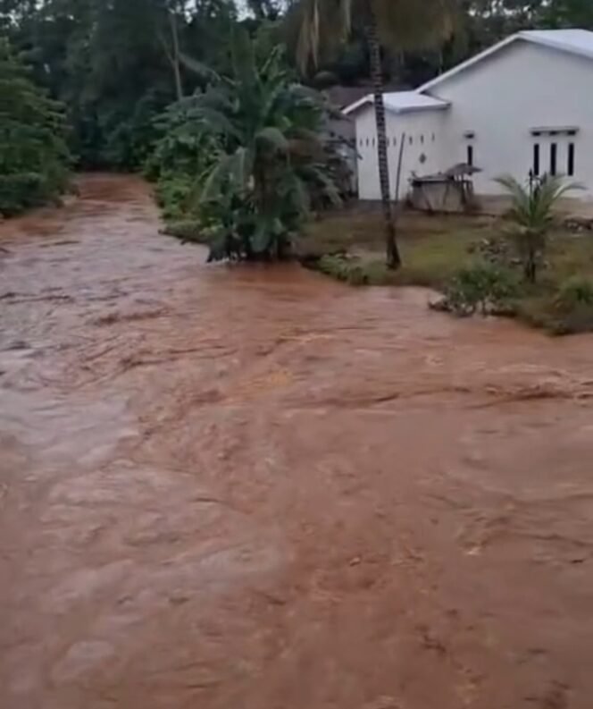  
Kondisi Sungai Oko Oko di Kabupaten Kolaka, Sulawesi Tenggara, mendadak berubah menjadi keruh diduga kuat akibat aktivitas pertambangan PT Indonesia Pomalaa Industry Park (IPIP). Foto: Istimewa
