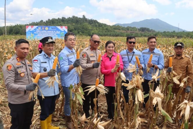 
 Wakapolda Sultra, Brigjen Pol Gideon Arif Setyawan, SIK., MH memimpin panen raya jagung Kuartal ke-IV di lahan seluas 126 hektare di Desa Tambakua, Kecamatan Landawe, Kabupaten Konawe Utara. Foto: Istimewa  