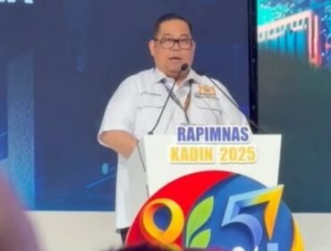 Ketua Kadin Sultra, Anton Timbang, menyampaikan pandangan umum Kadin Daerah. Foto: Istimewa