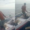 Nelayan bernama Makmur hilang di perairan Kolaka Utara ditemukan di perairan Palopo. Foto : Istimewa.