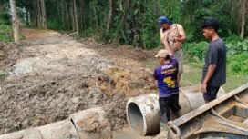 Warga Desa Lamoeri, Kecamatan Angata, Kabupaten Konawe Selatan terpaksa membangun sendiri jembatan lantaran Kades diduga tidak peduli. Foto: Istimewa