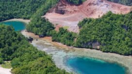 Hutan di kawasan pantai Kartika Moramu Utara, Konsel tampak menggundul akibat aktivitas pertambangan. Foto: Istimewa.