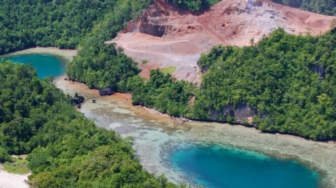 
 Hutan di kawasan pantai Kartika Moramu Utara, Konsel tampak menggundul akibat aktivitas pertambangan. Foto: Istimewa.