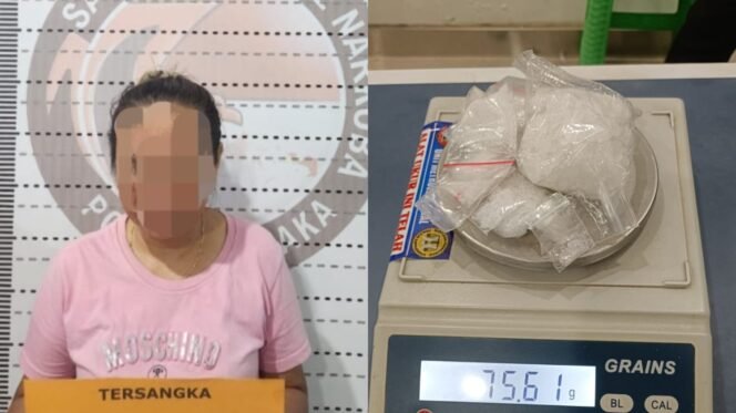 
 Wanita inisial N (43) ditangkap Sat Resnarkoba usai ditemukan barang bukti puluhan gram sabu dalam rumahnya. Foto : Istimewa