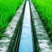 Ilustrasi irigasi. sumber: mediatani.id