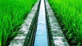 Ilustrasi irigasi. sumber: mediatani.id
