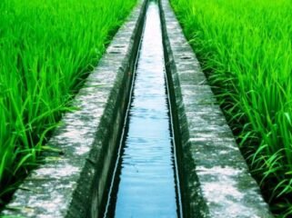 Ilustrasi irigasi. sumber: mediatani.id