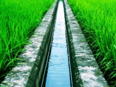 Ilustrasi irigasi. sumber: mediatani.id