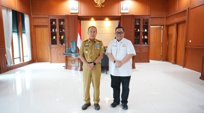 Ketua Kadin Sultra, Anton Timbang bersama Gubernur Sultra Andi Sumangeruka. Foto: Istimewa