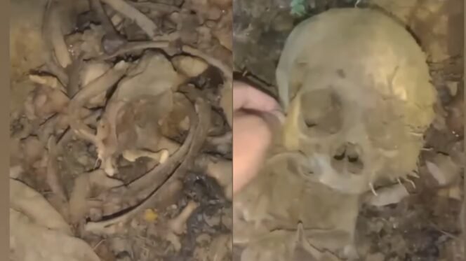 
 Kerangka manusia ditemukan warga di dalam hutan Desa Amomatu Kolaka. Foto: Istimewa