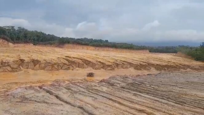 
 Aktivitas pembukaan lahan dilakukan tanpa izin di Kelurahan Puuwatu Kendari. Foto: Istimewa.