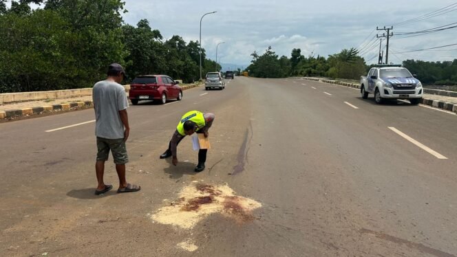 
 Personel Sat Lantas Polres Kolaka saat melakukan olah tempat kejadian perkara (TKP) di lokasi kecelakaan di Kolaka. Foto: Istimewa