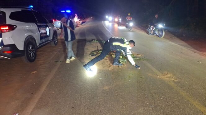 
 Personel Sat Lantas Polres Kolaka saat melakukan olah TKP di lokasi kecelakaan. Foto: Istimewa