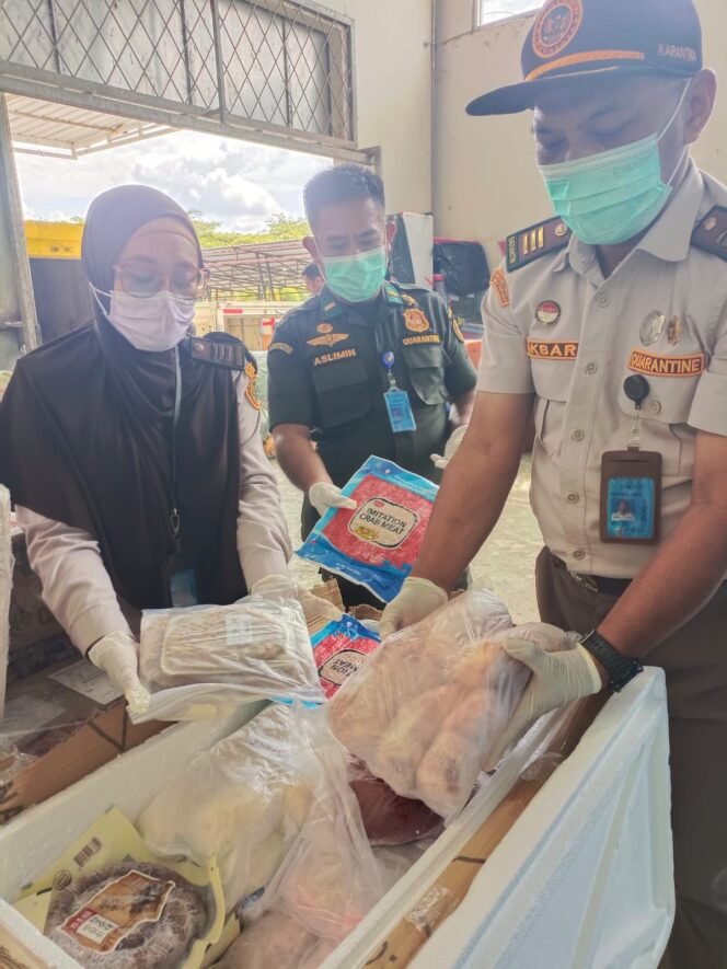 
 Karantina Sultra melaksanakan tindakan tegas terhadap pemasukan media pembawa yang tidak dilengkapi dokumen karantina dalam kegiatan pengawasan di wilayah pemasukan Bandara Halu Oleo. Foto: Istimewa