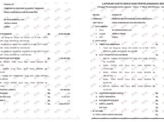 Tangkapan layar LHKPN M Ridwan Badallah. Foto: Istimewa