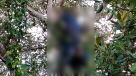 Mayat pria di temukan membusuk di atas pohon di Konawe Selatan. Foto: Istimewa
