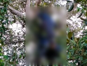 Mayat pria di temukan membusuk di atas pohon di Konawe Selatan. Foto: Istimewa