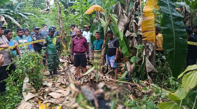 Warga di Pasarwajo bernama (57) ditemukan meninggal dunia di kebunnya. Foto: Istimewa