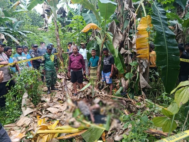 
 Warga di Pasarwajo bernama (57) ditemukan meninggal dunia di kebunnya. Foto: Istimewa