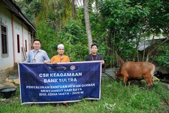 
 PT BPD Sultra menyalurkan 23 sapi kurban jelang Hari Raya Idul Adha 2026.Foto: Istimewa.