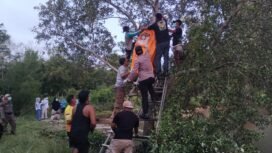 Proses evakuasi jenazah pria bernama Kaharudin (41) dalam posisi tergantung di atas pohon di Tinanggea Konawe Selatan. Foto: Istimewa.