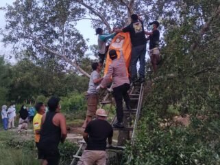 Proses evakuasi jenazah pria bernama Kaharudin (41) dalam posisi tergantung di atas pohon di Tinanggea Konawe Selatan. Foto: Istimewa.