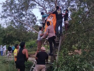 Proses evakuasi jenazah pria bernama Kaharudin (41) dalam posisi tergantung di atas pohon di Tinanggea Konawe Selatan. Foto: Istimewa.