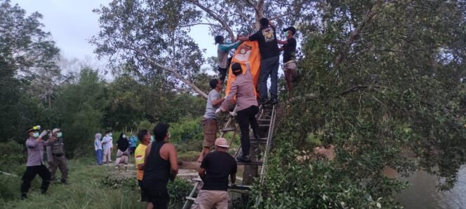 
 Proses evakuasi jenazah pria bernama Kaharudin (41) dalam posisi tergantung di atas pohon di Tinanggea Konawe Selatan. Foto: Istimewa.