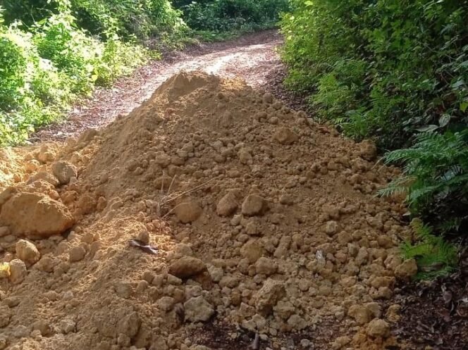 
 Jalan HKM Tua Maruju di Kelurahan Bosua, Kecamatan Batauga dipalang menggunakan material timbunan. Foto: Istimewa